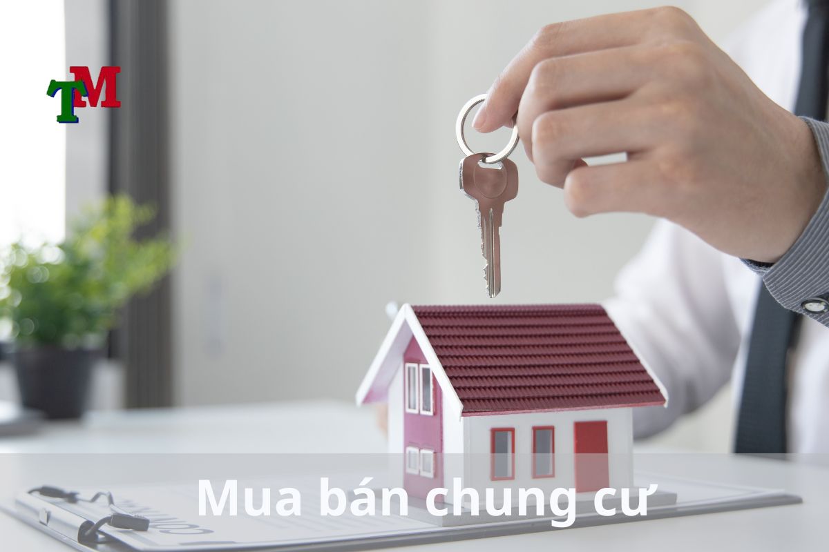 Mua bán chung cư 