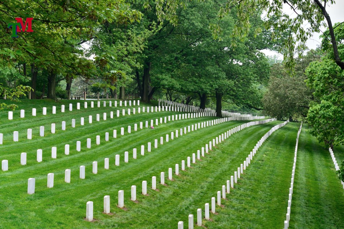 Mua ban dat nghia trang 1