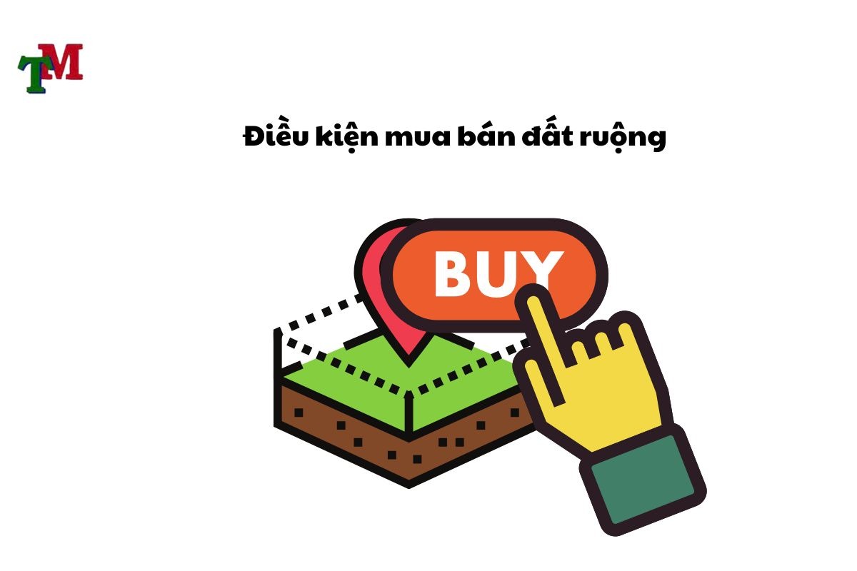 Mua ban dat ruong 2