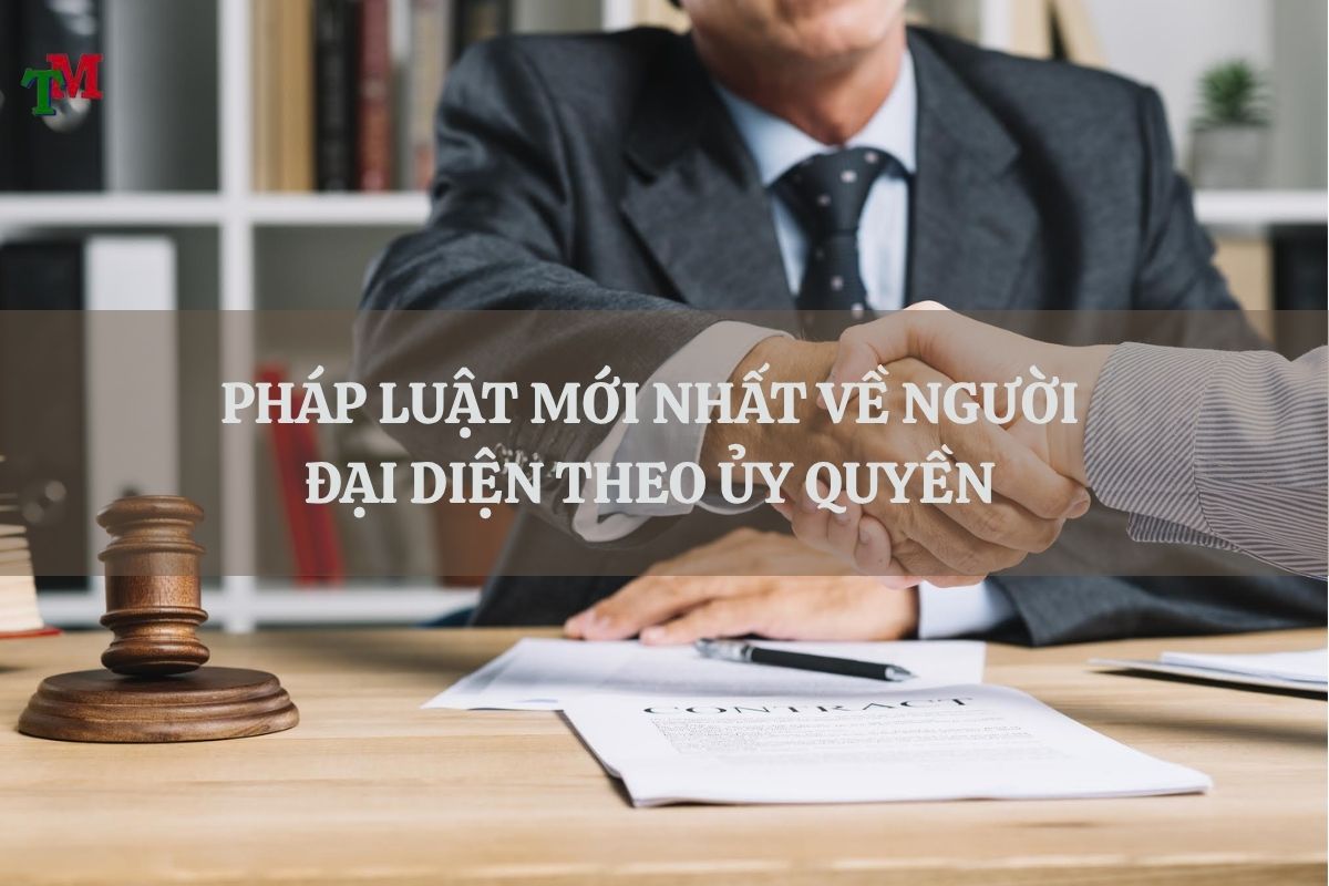 Người đại diện theo ủy quyền của doanh nghiệp: Quy định pháp luật và vai trò thực tiễn 3 NGUOI DAI DIEN THEO UY QUYEN 3