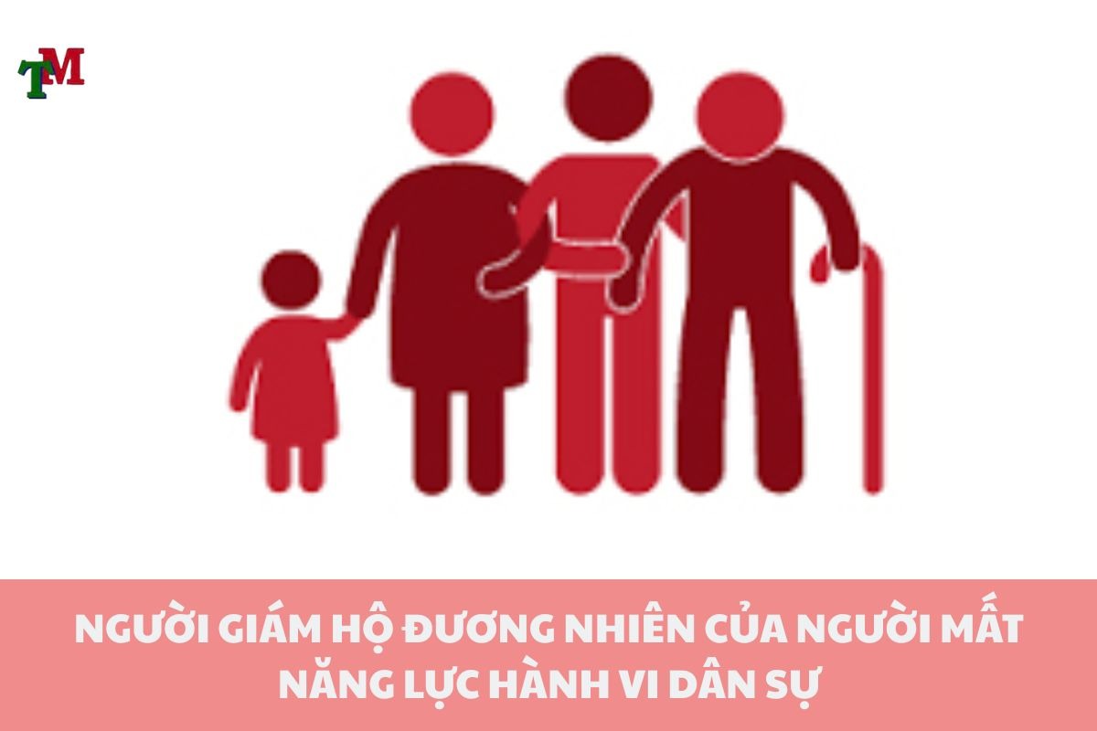 Người giám hộ là ai? Quyền, nghĩa vụ và các trường hợp giám hộ phổ biến theo luật Việt Nam 2 NGUOI GIAM HO 3