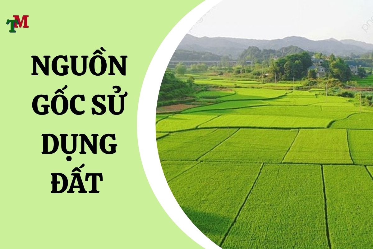 Nguồn gốc sử dụng đất là gì? Cách xác định và chứng minh nguồn gốc đất ông cha để lại theo quy định pháp luật 1 THỰC TRẠNG VỀ NGUỒN GỐC SỬ DỤNG ĐẤT TẠI VIỆT NAM