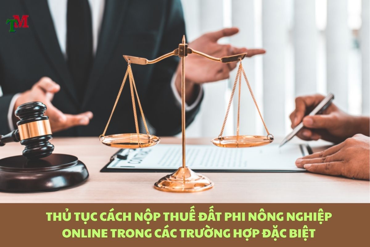 Hướng dẫn chi tiết cách nộp thuế đất phi nông nghiệp online đúng quy định 3 THỦ TỤC CÁCH NỘP THUẾ ĐẤT PHI NÔNG NGHIỆP ONLINE TRONG CÁC TRƯỜNG HỢP ĐẶC BIỆT