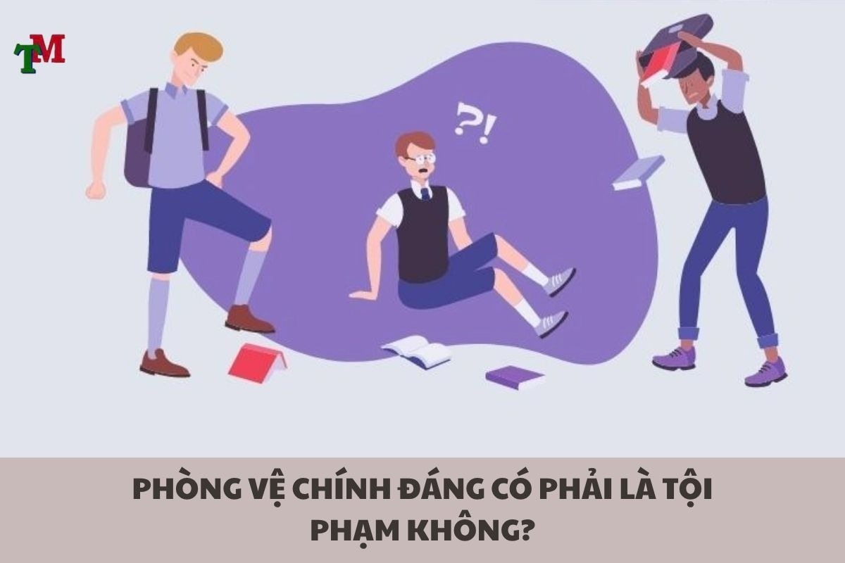 PHONG VE CHINH DANG 2