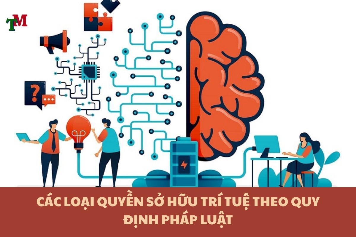 Quyền sở hữu trí tuệ: Hiểu đúng để bảo vệ tài sản vô hình của bạn 2 QUYEN SO HUU TRI TUE 2