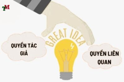 SU DUNG QUYEN TAC GIA 2