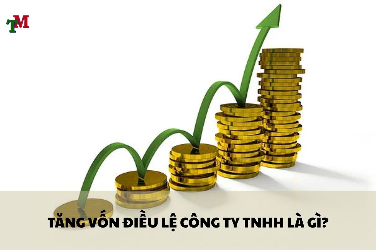 Tăng vốn điều lệ công ty TNHH: Thủ tục, hình thức và phương án thực hiện mới nhất 1 TANG VON DIEU LE CONG TY TNHH