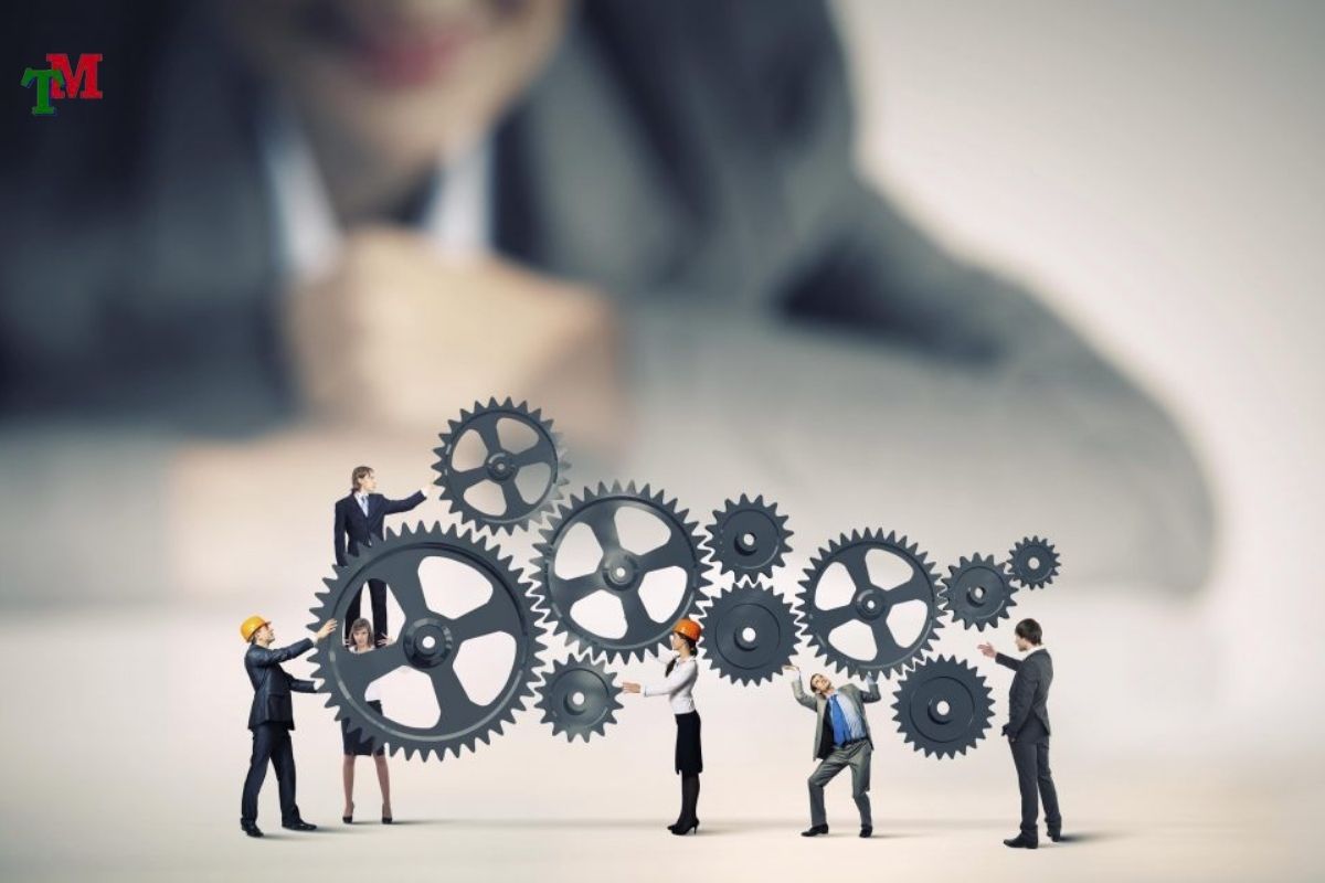 THAY DOI LOAI HINH DOANH NGHIEP 3