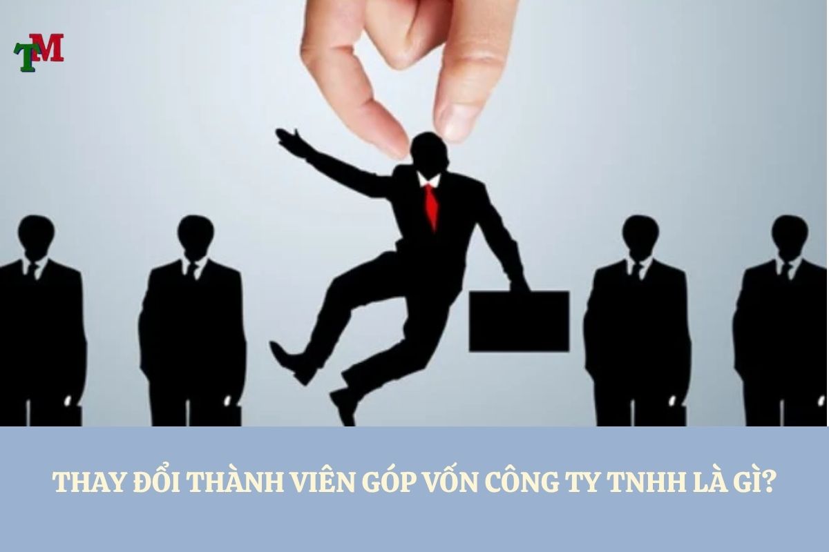 THAY DOI THANH VIEN GOP VON CONG TY TNHH