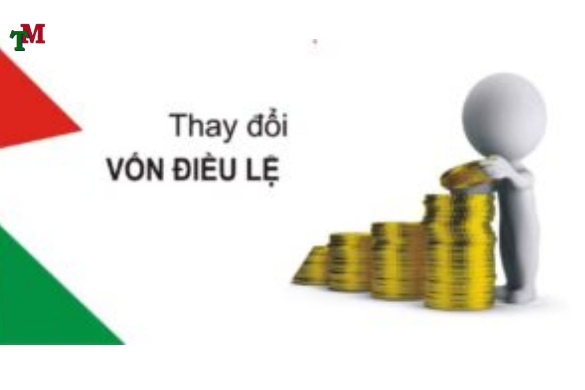 THAY DOI VON DIEU LE CONG TY TNHH 3