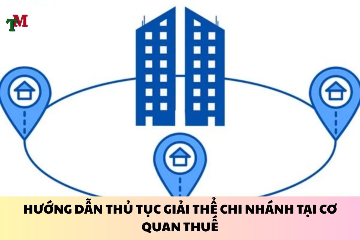 THU TUC GIAI THE CHI NHANH 3