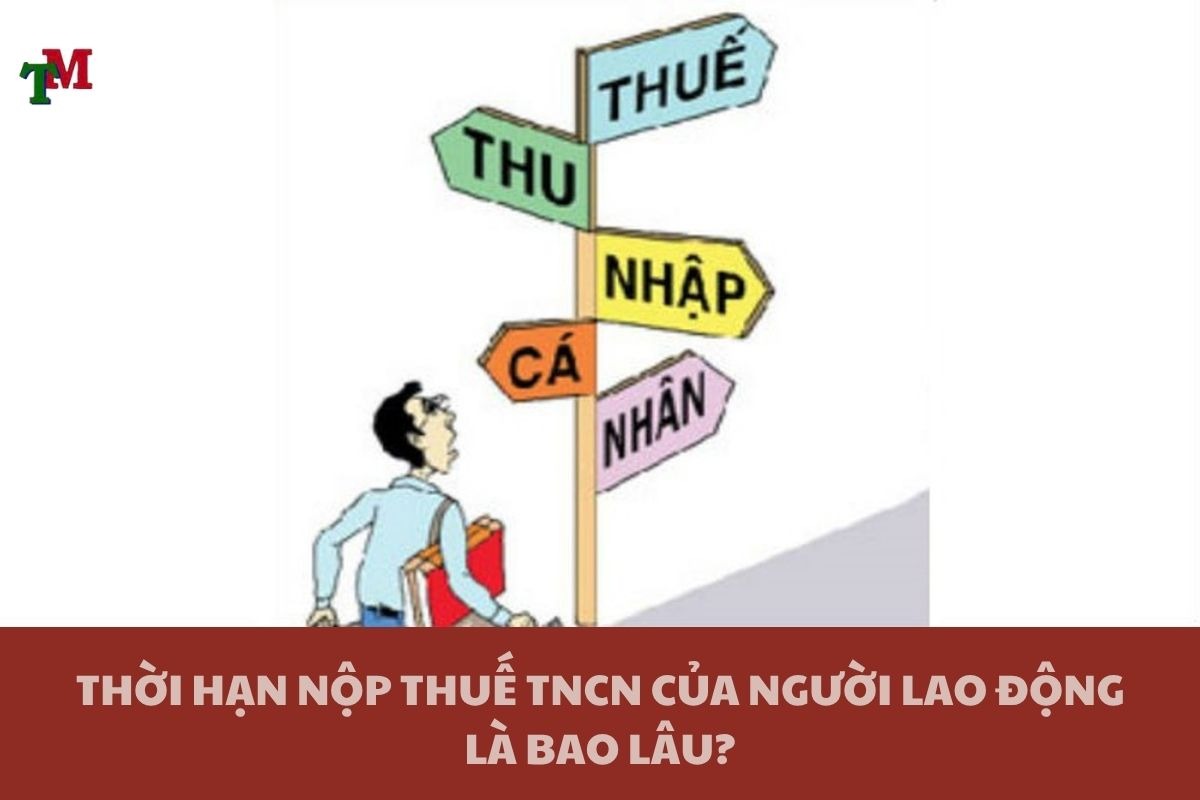 Chậm nộp thuế thu nhập cá nhân: Quy định, mức phạt và cách xử lý đúng luật 2 THUE THU NHAP CA NHAN 3