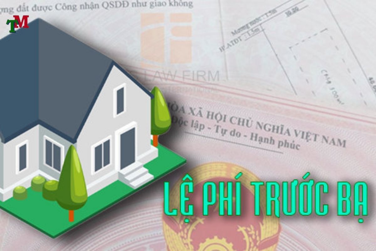 Hồ sơ và thủ tục thuế trước bạ nhà đất: Quy định pháp lý mới nhất cần biết 3 THUE TRUOC BA 2