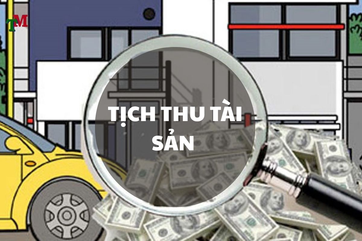 Tịch thu tài sản: Căn cứ pháp lý và thời điểm áp dụng theo quy định mới nhất 1 TICH THU TAI SAN