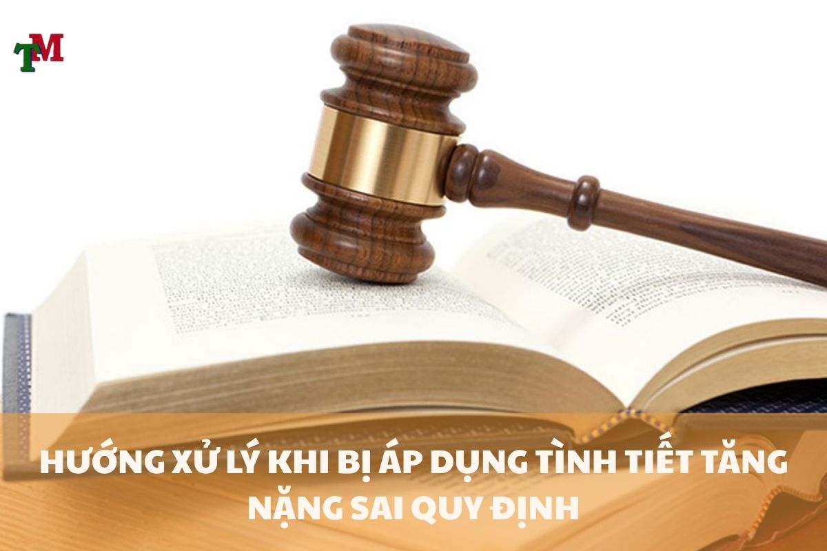 TINH TIET TANG NANG TRACH NHIEM HINH SU 2 1