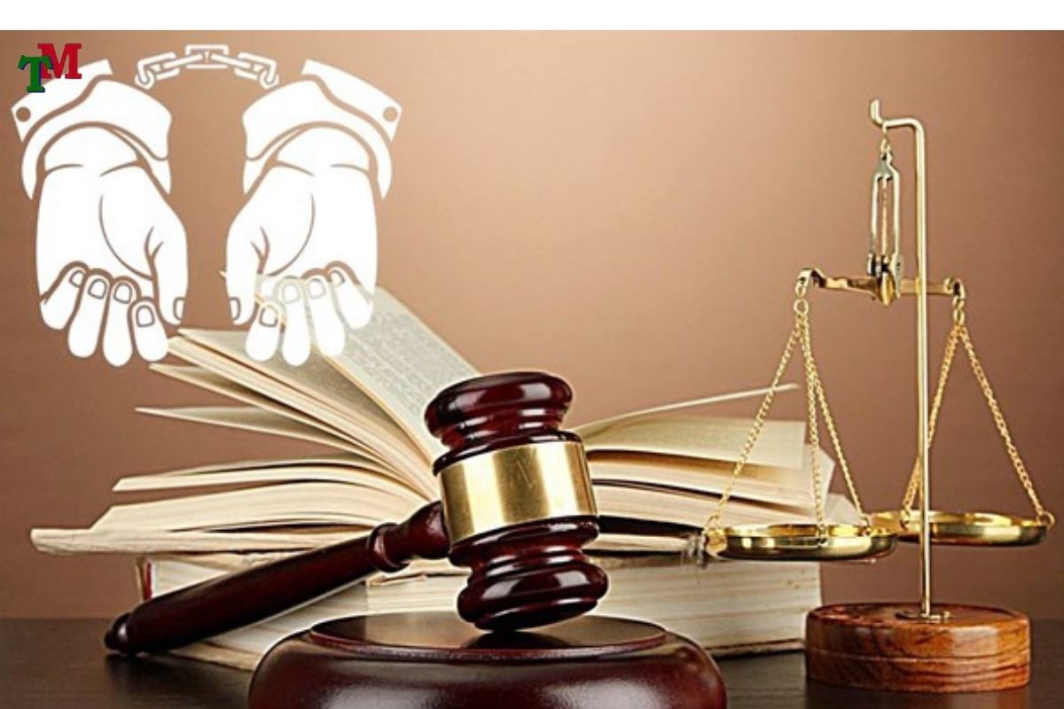 TINH TIET TANG NANG TRACH NHIEM HINH SU 3