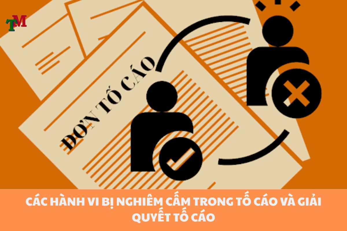Tố cáo hành vi vi phạm pháp luật: Quy trình, thủ tục và lưu ý khi thực hiện 2 TO CAO 3