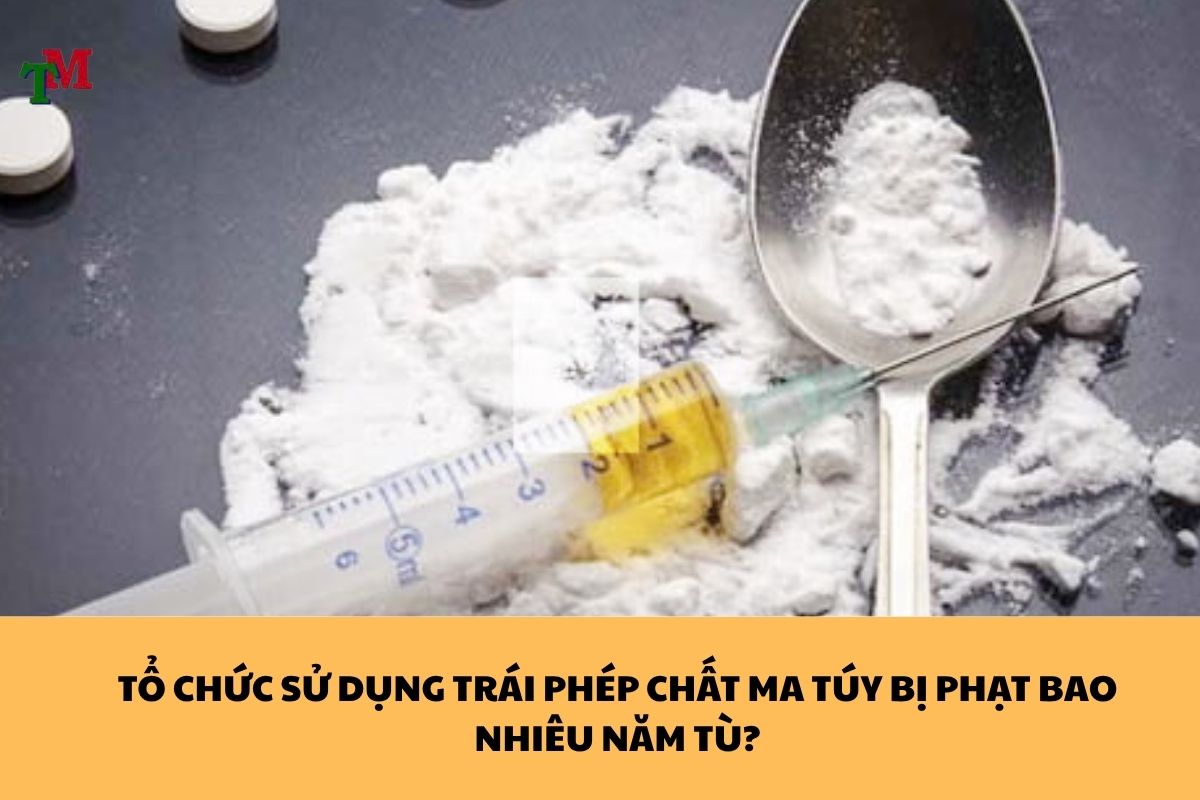 TỔ CHỨC SỬ DỤNG TRÁI PHÉP CHẤT MA TÚY BỊ PHẠT BAO NHIÊU NĂM TÙ?