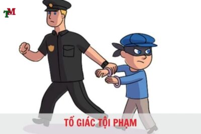 TO GIAC TOI PHAM 3