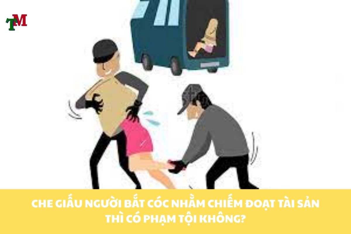 TOI BAT COC NHAM CHIEM DOAT TAI SAN 2