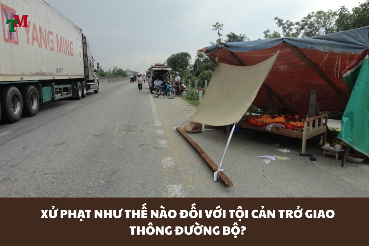 TOI CAN TRO GIAO THONG DUONG BO 2