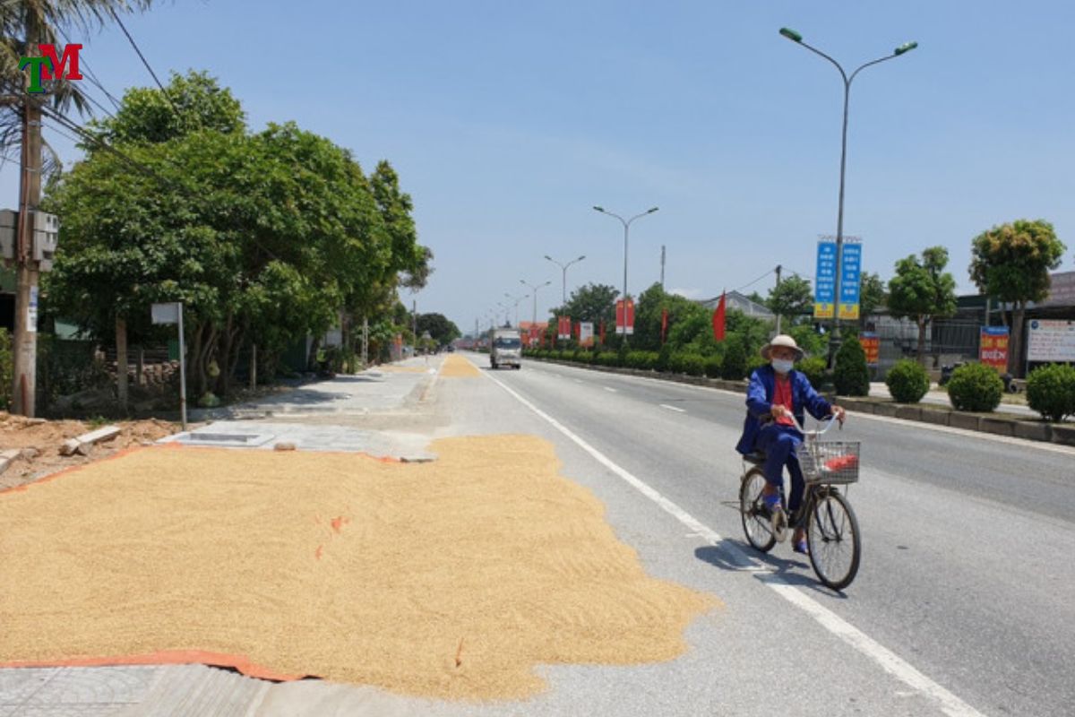 TOI CAN TRO GIAO THONG DUONG BO