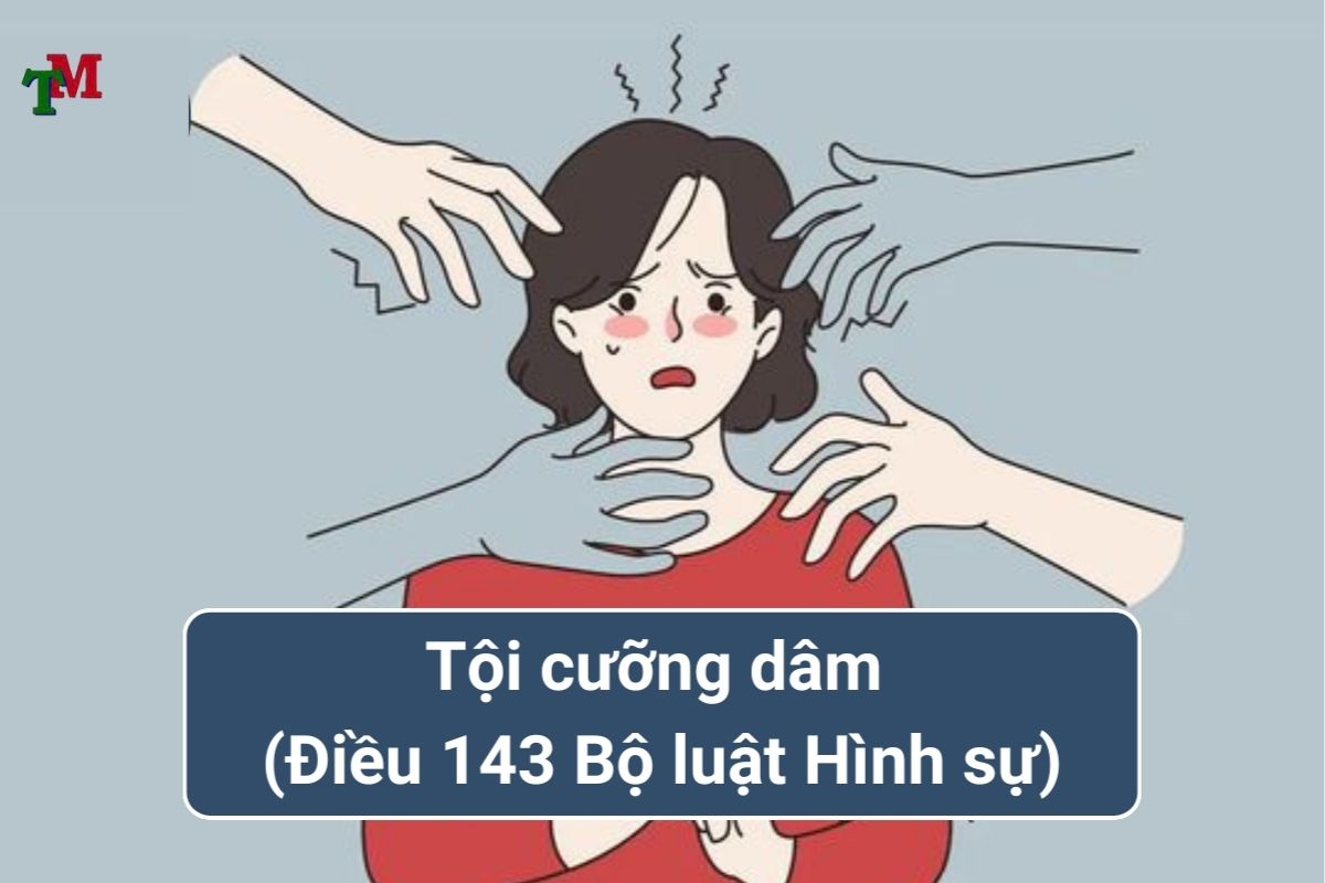 Trách nhiệm hình sự đối với tội cưỡng dâm theo quy định pháp luật hiện hành 1 TOI CUONG DAM 2