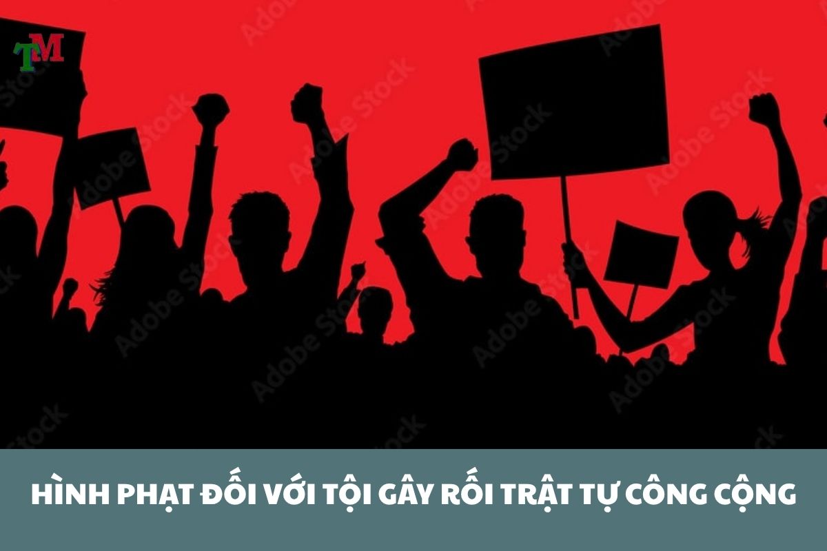 TOI GAY ROI TRAT TU CONG CONG 2