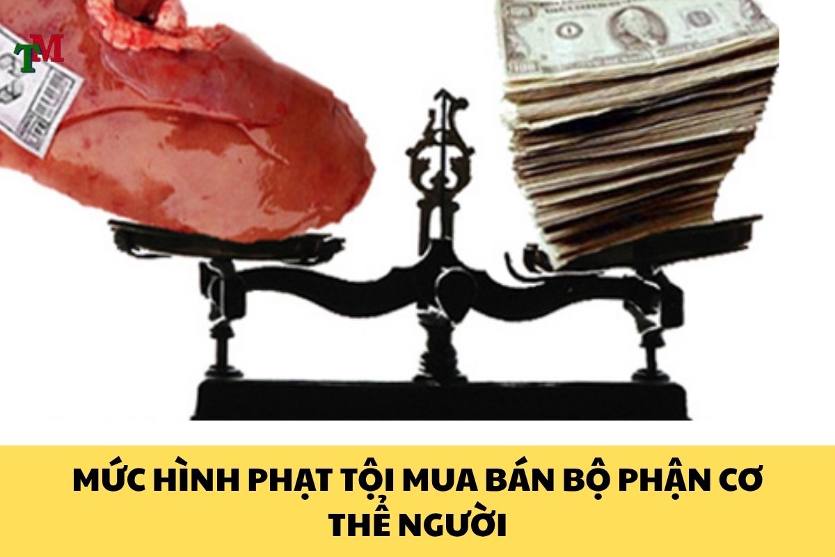 TOI MUA BAN BO PHAN CO THE NGUOI 3