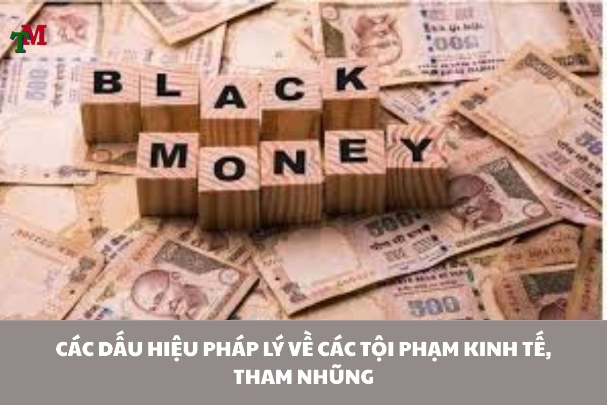 TOI PHAM KINH TE THAM NHUNG 2 1