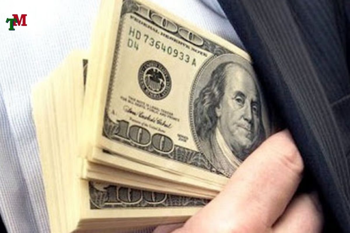 TOI PHAM KINH TE THAM NHUNG