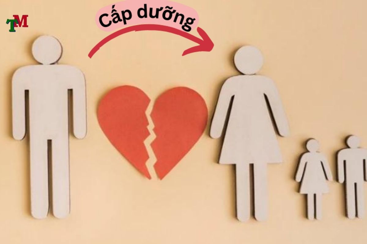 TOI TU CHOI HOAC TRON TRANH NGHIA VU CAP DUONG 3