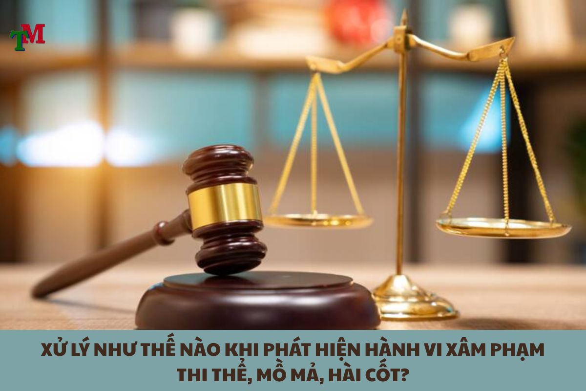 TOI XAM PHAM THI THE MO MA HAI COT 3