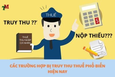 TRUY THU THUE 2