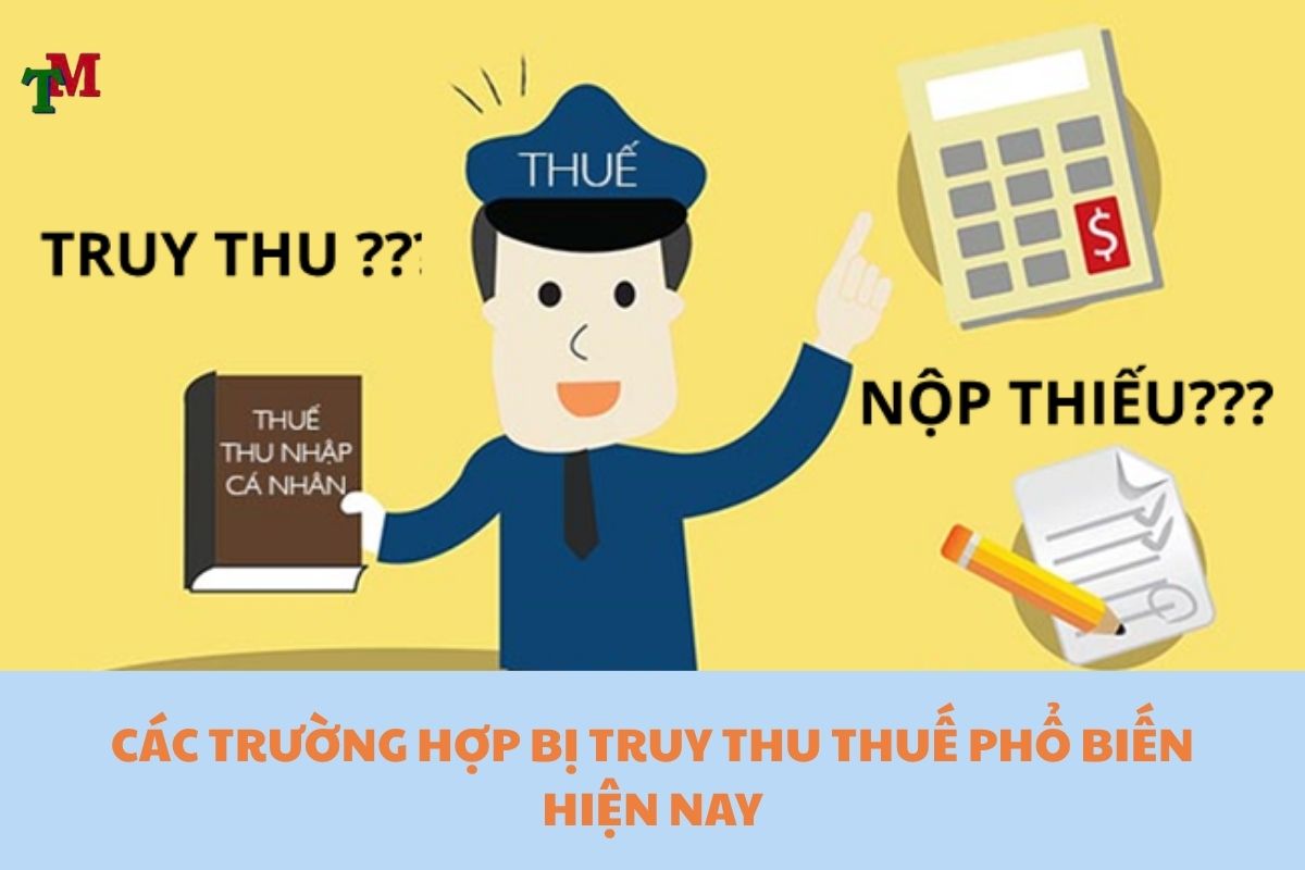 TRUY THU THUẾ LÀ GÌ? CÁC TRƯỜNG HỢP BỊ TRUY THU THUẾ PHỔ BIẾN HIỆN NAY