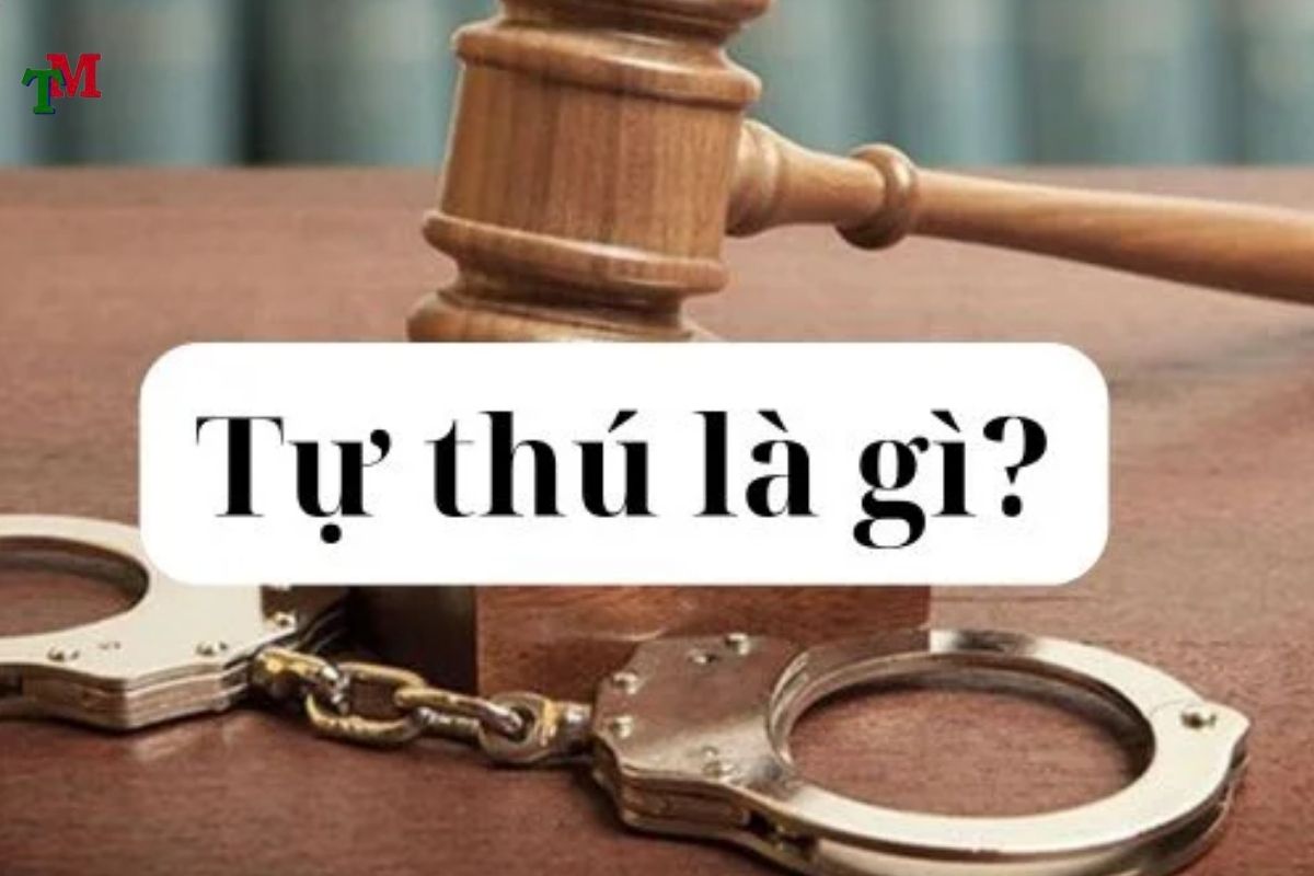 TỰ THÚ TRONG PHÁP LUẬT HÌNH SỰ: KHÁI NIỆM, QUY ĐỊNH VÀ TÁC ĐỘNG PHÁP LÝ 1 TU THU