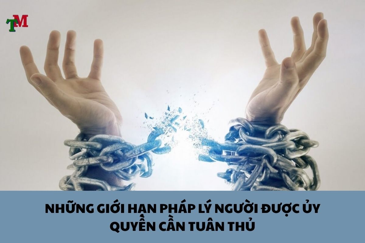 Người được ủy quyền: Quyền hạn, giới hạn và trách nhiệm pháp lý khi đại diện thay thế 3 UY QUYEN