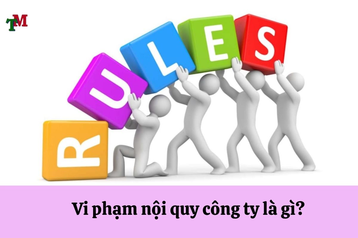 VI PHAM NOI QUY CONG TY