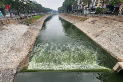 XA THAI O NHIEM MOI TRUONG 3