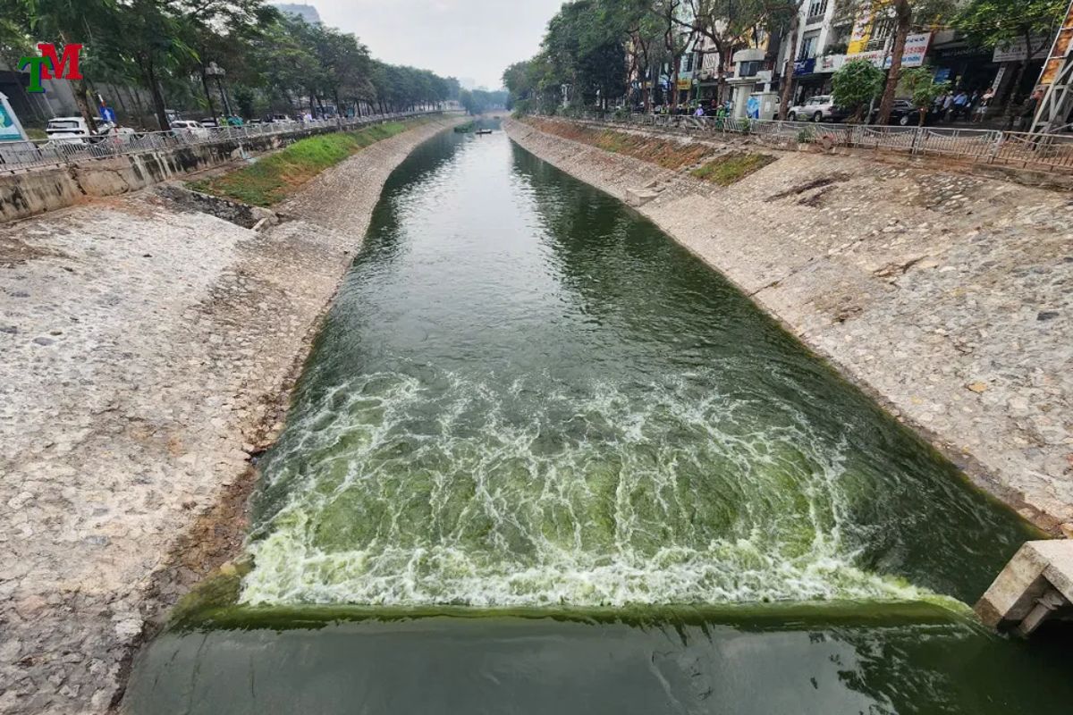 XA THAI O NHIEM MOI TRUONG 3