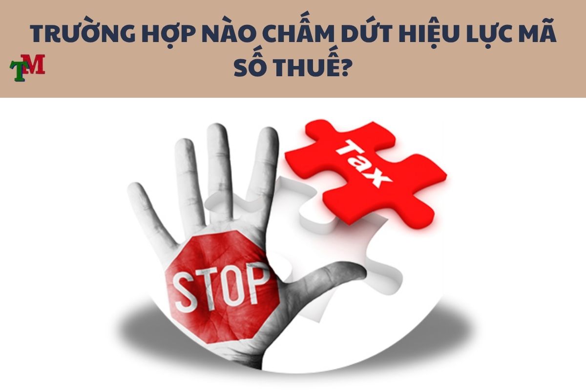 cham dut hieu luc ma so thue 1