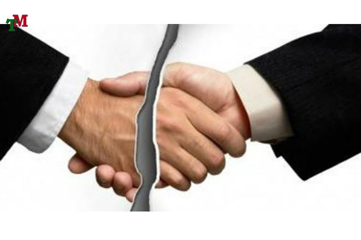 cham dut hieu luc ma so thue 3 1