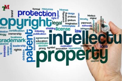 chi phi dang ky ban quyen tac gia 2