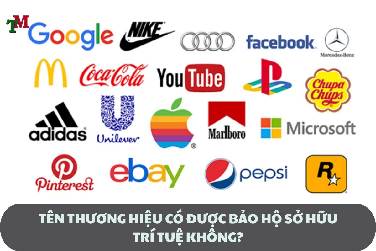 dang ky so huu tri tue ten thuong hieu