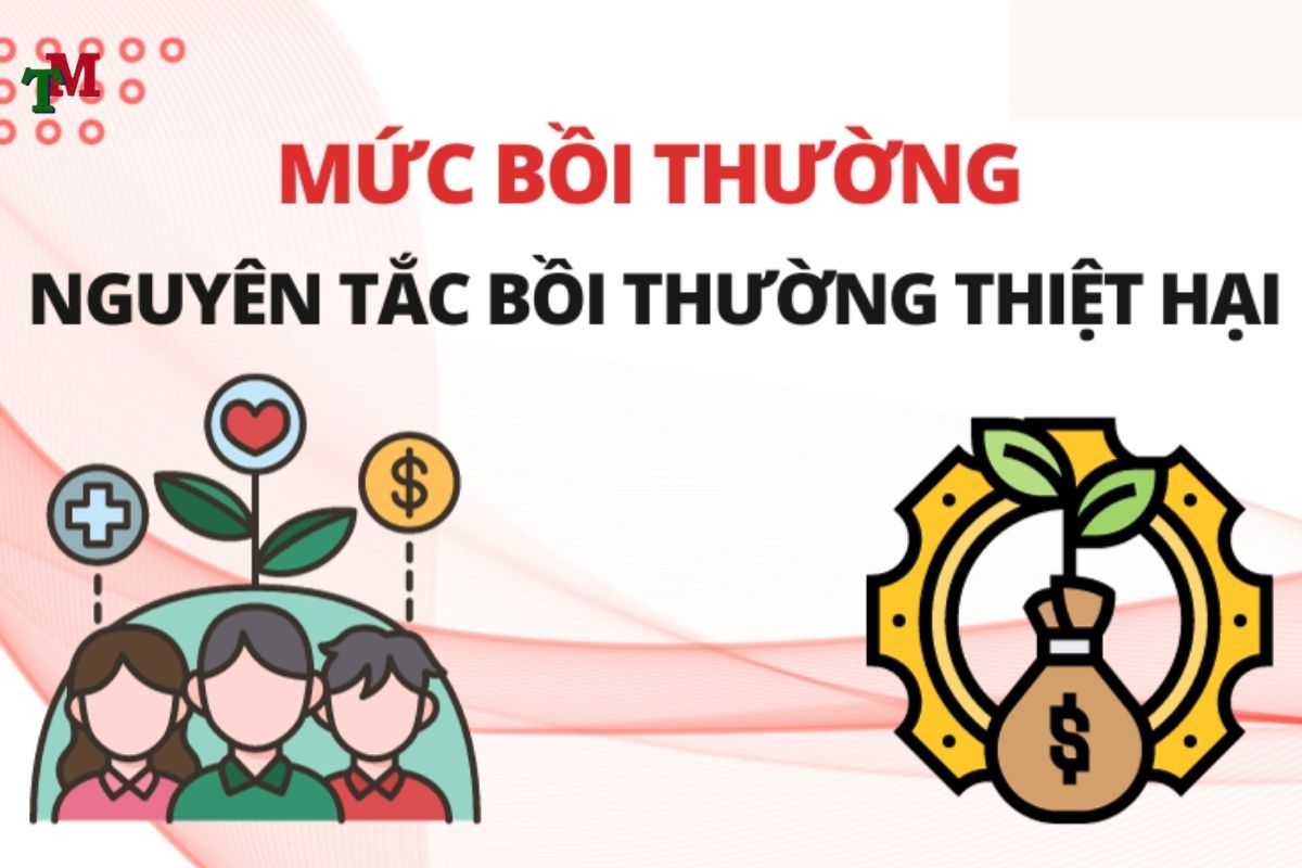 muc boi thuong thiet hai 3