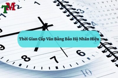 Tổng Quan Về Bảo Hộ Nhãn Hiệu và Văn Bằng Bảo Hộ