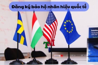 Đăng Ký Bảo Hộ Nhãn Hiệu Quốc Tế: Quy Trình, Chi Phí và Lưu Ý Quan Trọng