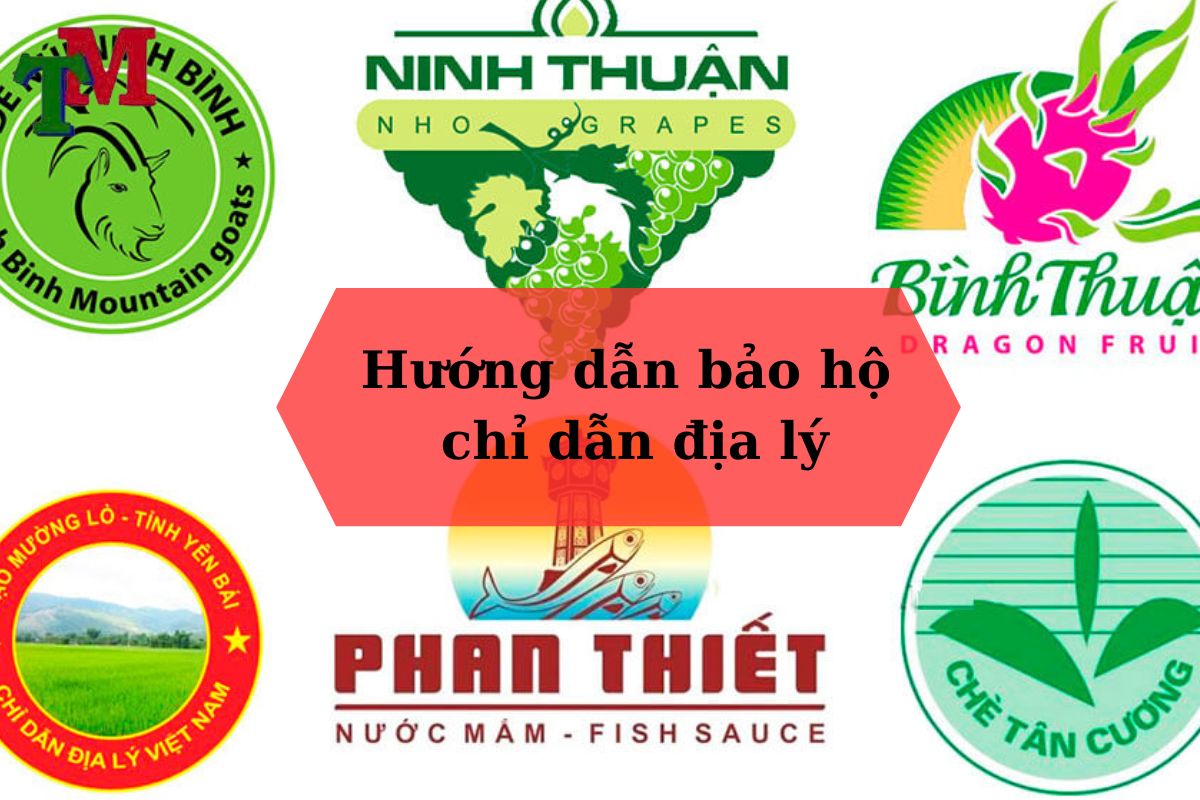 Hướng Dẫn Bảo Hộ Chỉ Dẫn Địa Lý: Từ Thủ Tục Đến Chi Phí 1 815.1 1
