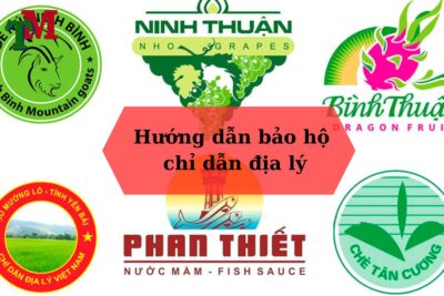 Hướng Dẫn Bảo Hộ Chỉ Dẫn Địa Lý: Từ Thủ Tục Đến Chi Phí