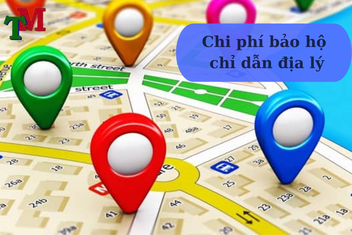 Hướng Dẫn Bảo Hộ Chỉ Dẫn Địa Lý: Từ Thủ Tục Đến Chi Phí 3 815.3 1